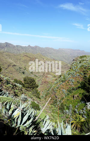 Vue sur la belle vallée du village La Laja, La Gomera, Canary Islands Banque D'Images