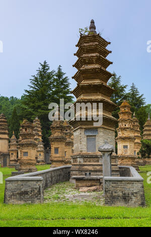 Forêt de la pagode au monastère bouddhiste de Shaolin - Chine Banque D'Images