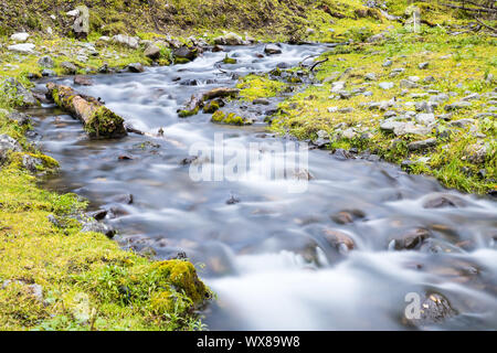 Beau paysage de cours d'eau Banque D'Images