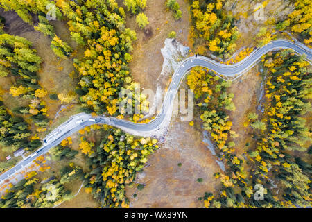 Route de montagne sinueuse d'automne Banque D'Images