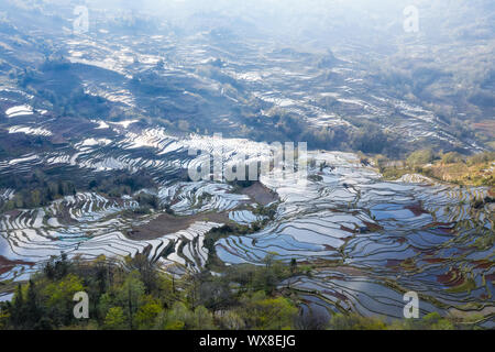 Paysage de champs en terrasses yuanyang Banque D'Images