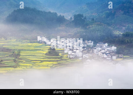 Beau paysage printemps wuyuan Banque D'Images