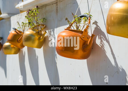 Bouilloires en cuivre avec des plantes accroché sur mur blanc Banque D'Images