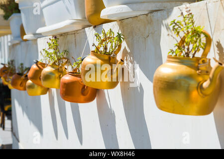 Bouilloires en cuivre avec des plantes accroché sur mur blanc Banque D'Images