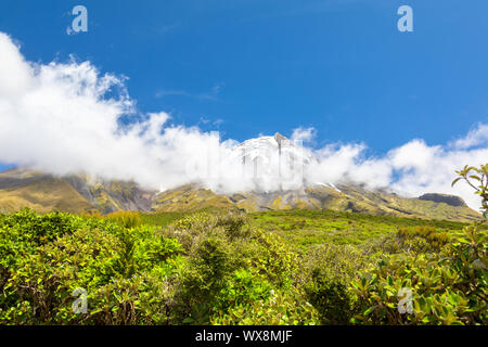 Taranaki volcan couvert de nuages, Nouvelle-Zélande Banque D'Images