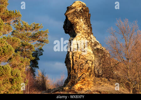 Camel rock Westerhausen dans les montagnes du Harz Banque D'Images