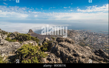 Vue panoramique de la ville du Cap, Lion's Head et Signal Hill à partir du haut de la Montagne de la table. Banque D'Images