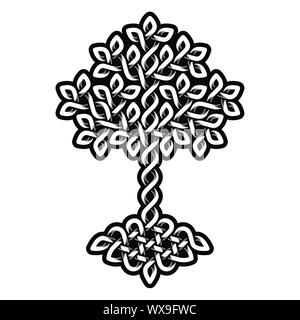 Illustration de l'arbre de vie celtique, version noir et blanc, vector illustration Illustration de Vecteur