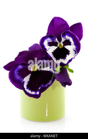 Un petit bouquet de pensées en vase vert violet Banque D'Images