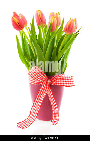 Vase gaies avec arc et vérifié les tulipes Banque D'Images