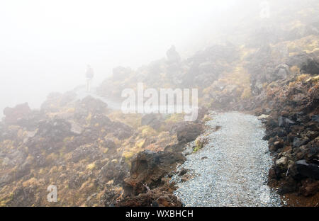 Randonneur marchant sur la voie publique au Parc National de Tongariro, Nouvelle-Zélande Banque D'Images