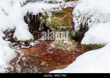 Parc national de Harz le Oderteich en hiver Banque D'Images