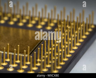 Le processeur de jambes doré photographié avec augmentation Banque D'Images