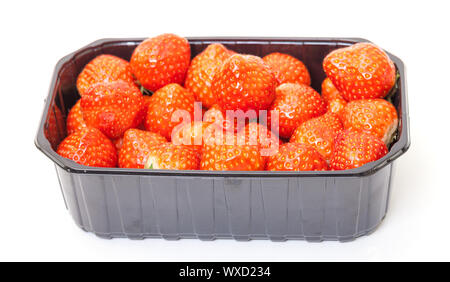 Fraises fraîches dans un contenant de plastique sur un fond blanc. Banque D'Images