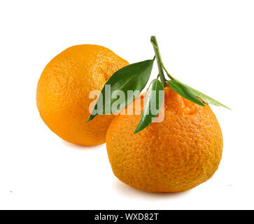 Deux mandarines avec feuille verte sur le fond blanc Banque D'Images