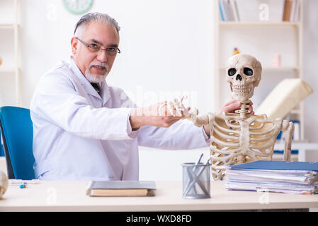 De médecin homme avec squelette Banque D'Images