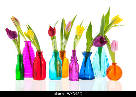 Tulipes colorées un par un dans des vases de verre Banque D'Images