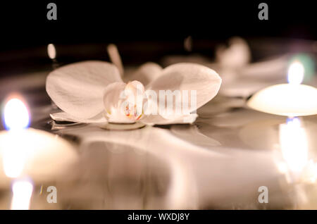 Orchidée fleur et des bougies flottant sur l'eau. Banque D'Images