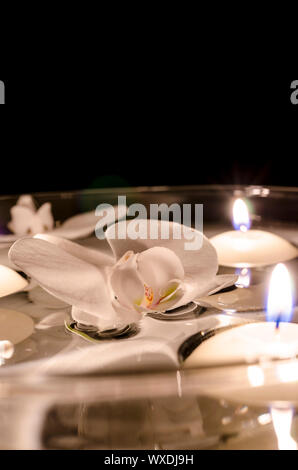 Orchidée fleur blanc avec des bougies flottant sur l'eau. Fond noir. Banque D'Images