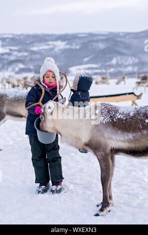 Petite fille renne d'alimentation en hiver Banque D'Images