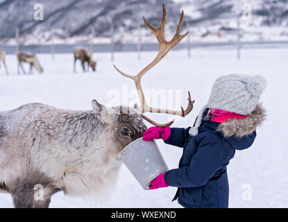 Petite fille renne d'alimentation en hiver Banque D'Images