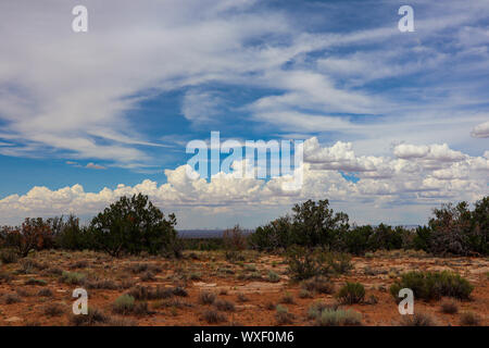 Le nord de l'Arizona désert Paysage dans l'été Banque D'Images