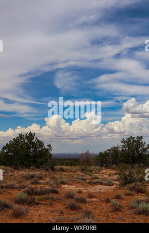 Paysage désertique de l'Arizona dans l'été Banque D'Images