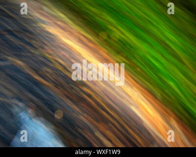 Marcher dans la lumière de l'automne, des feuilles et des rayures colorées motion sur le terrain Banque D'Images