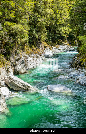 Haast River Valley Landsborough Nouvelle-zélande Banque D'Images