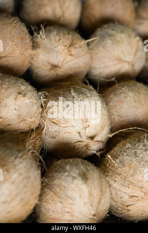 Assortiment de coco sur market stall Banque D'Images