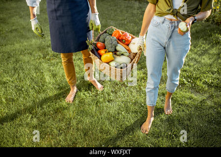 L'homme et la femme exerçant son panier plein de freshly picked up accueil légumes cultivés à la campagne, close-up avec pas de visage Banque D'Images