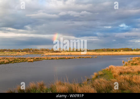 Petit arc-en-ciel sur swamp en néerlandais les terres agricoles, Pays-Bas Banque D'Images