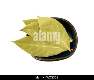 Les feuilles de laurier à sec dans un bol isolé sur un fond blanc. Isoler sur l'assaisonnement. Vue de dessus. Banque D'Images