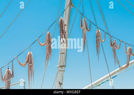 Pendu sur des cordes de calmars séchant au soleil en Grèce Banque D'Images