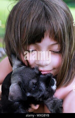 Little girl hugging her Schnauzer Mini chiot. L'extrême profondeur de champ avec selective focus on visage d'enfant. Banque D'Images