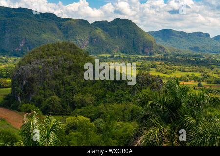 Vallée de Vinales site touristique populaire dans la province de Pinar del Rio, Cuba Banque D'Images