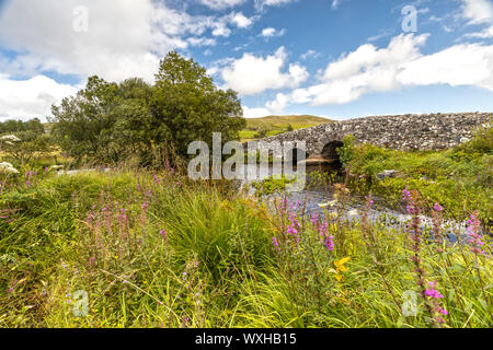 Homme tranquille pont dans le comté de Galway, Irlande Banque D'Images