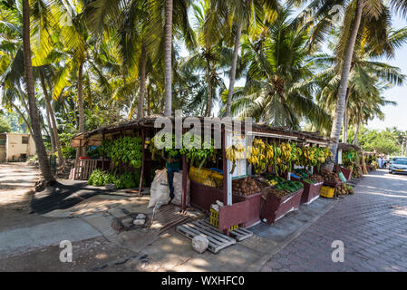 Salalah, Oman - 12 novembre 2017 : Roadside stands vendant des fruits tels que les bananes, les noix de coco et les ananas à Salalah, Oman, province de Dhofar. Banque D'Images