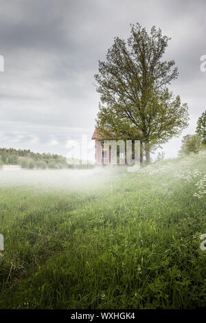 Morning Mist et une vieille maison abandonnée dans un paysage de campagne en milieu rural. Iles Aland, en Finlande. Banque D'Images