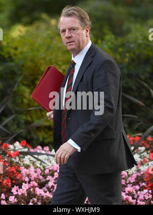 Le Secrétaire écossais Alister Jack arrive pour une réunion du Cabinet au 10 Downing Street, Londres. Banque D'Images