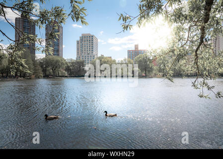 Une photo de Central Park lors d'une belle journée ensoleillée, avec ses bâtiments reflétant dans l'eau d'un lac. La ville de New York, United States Banque D'Images