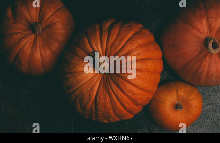 À partir de la photo ci-dessus de quatre citrouilles orange en blanc sur fond noir, célébration de l'halloween Banque D'Images