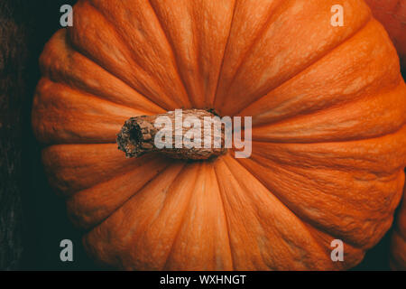 Photo sur le dessus de la citrouille orange en blanc sur fond noir, célébration de l'halloween Banque D'Images