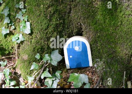 Fée peinte bleu porte à un tronc d'arbre moussu dans les bois woodland Banque D'Images
