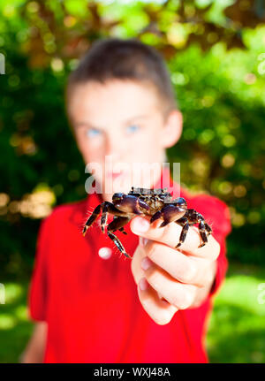 Jeune garçon montrant le crabe, l'accent sur hamster Banque D'Images