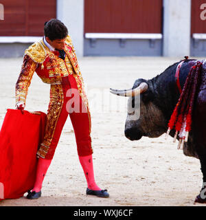 Corrida traditionnelle - la tauromachie en espagne Banque D'Images