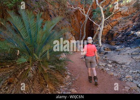 Femme marche vers Standley Chasm, West MacDonnell National Park, Territoire du Nord, Australie Banque D'Images