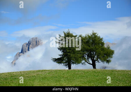 Vue panoramique sur les arbres dans la brume matinale avec des pics de montagne en arrière-plan. Parco naturale Gruppo di Tessa. Italie Banque D'Images