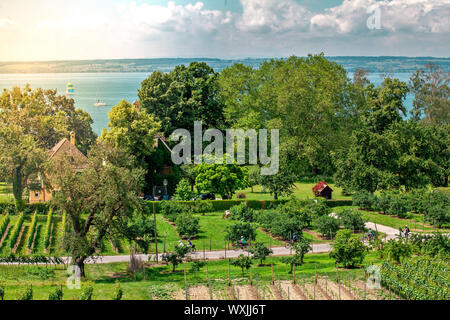 Paysage avec fruit Curtural plantation près de Hagnau au lac de Constance (Allemagne) Banque D'Images