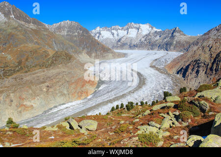 Wannenhoerner la montagne et glacier d'Aletsch en automne. Valais, Suisse Banque D'Images